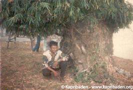 Rumpun Bambu
